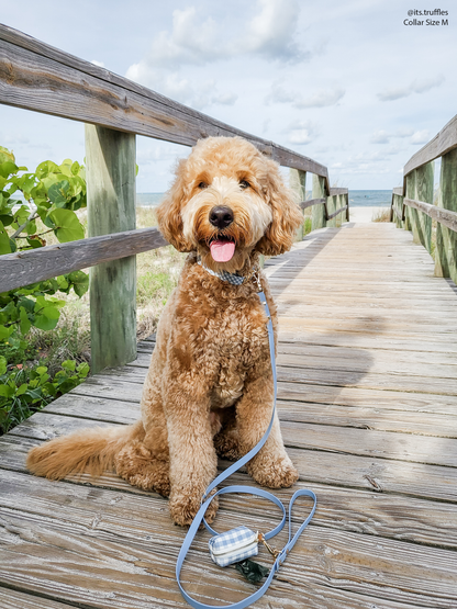 Dog Leash Waterproof - Malibu Blue | 4 ft, 5 ft, 6 ft
