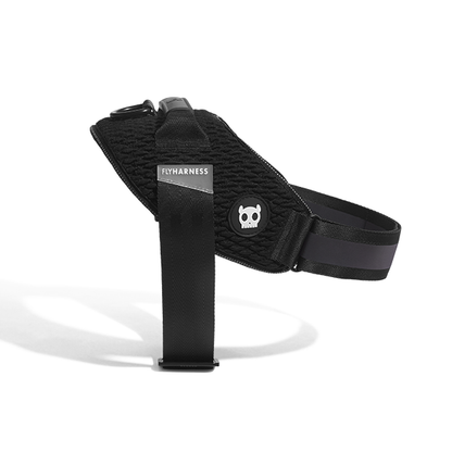 Gotham | FlyHarness