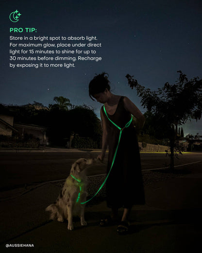 Dog Leash Waterproof - Lunar Glow | 4 ft, 5 ft, 6 ft