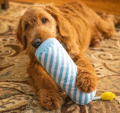 ThoozyPet Birthday Candle Blue w/ Rope 16"