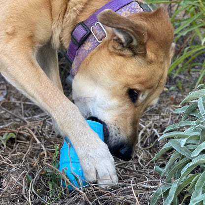 Ice Cream Cone Durable PUP-X Chew Toy and Treat Dispenser