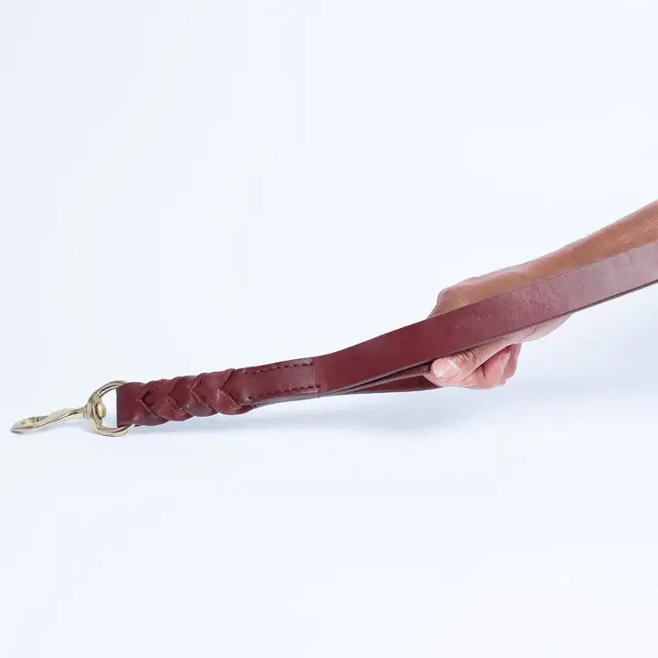 Leather Braided Leash DBL Handle by ANGEL™