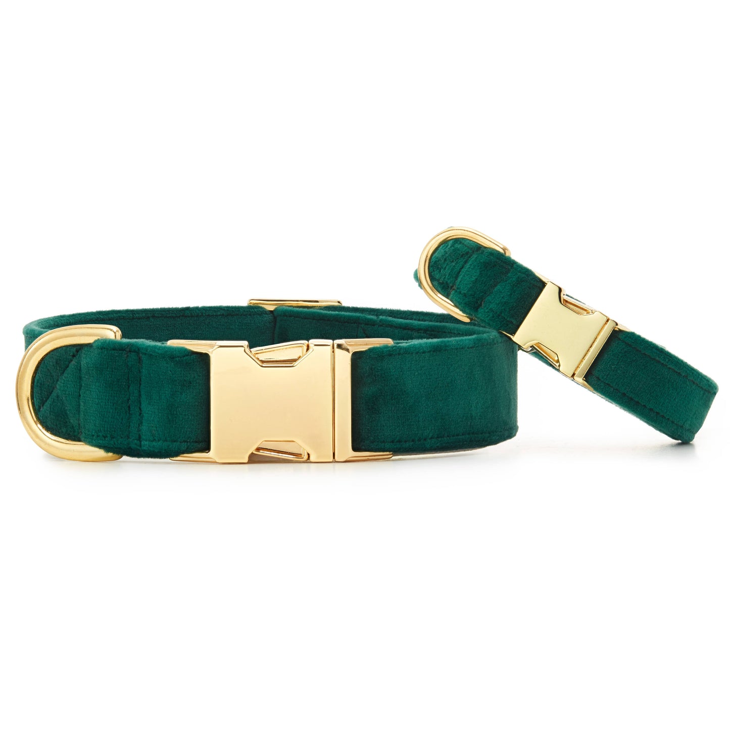 Foggy Dog Forest Green Velvet Collar