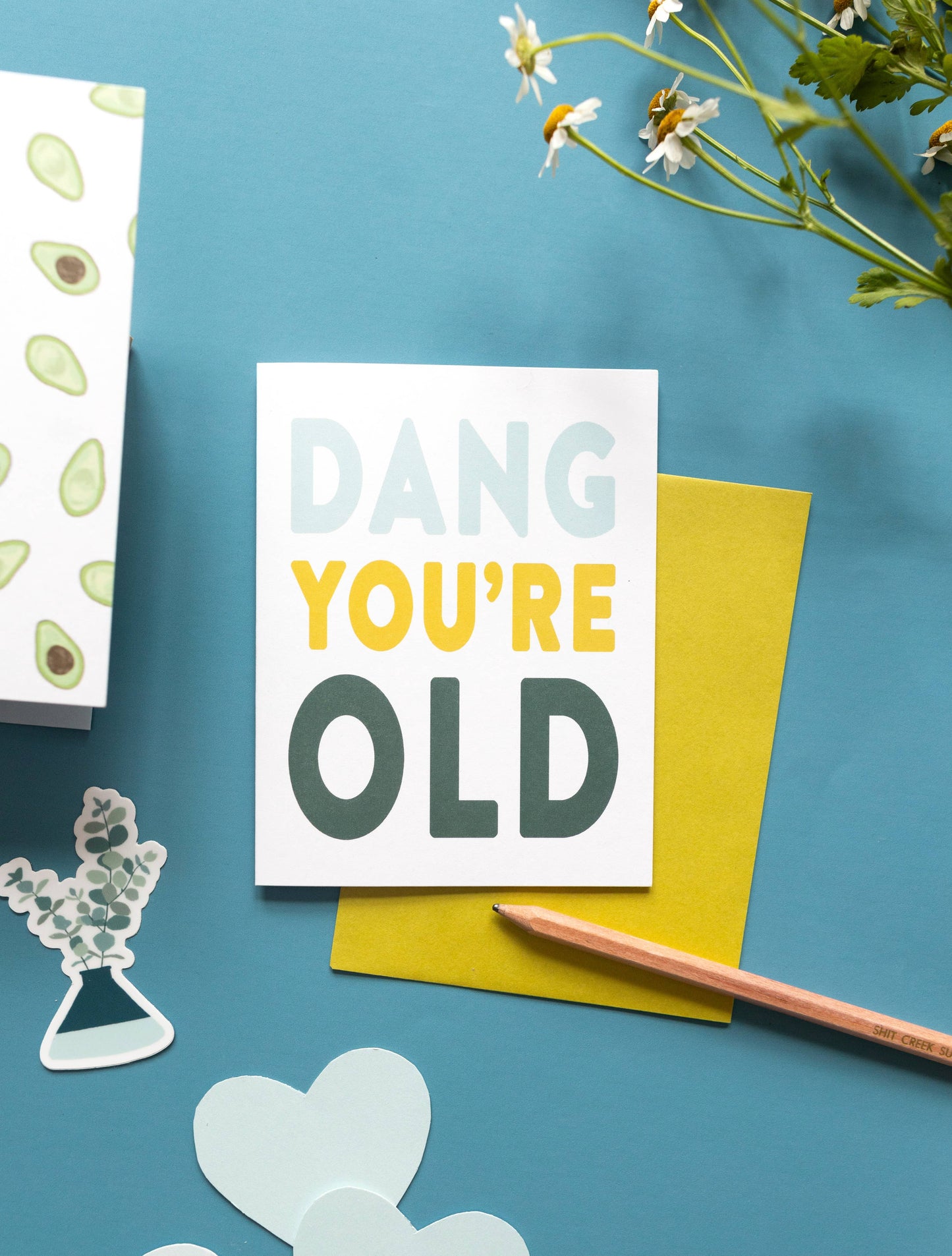 Dang You're Old Birthday Card