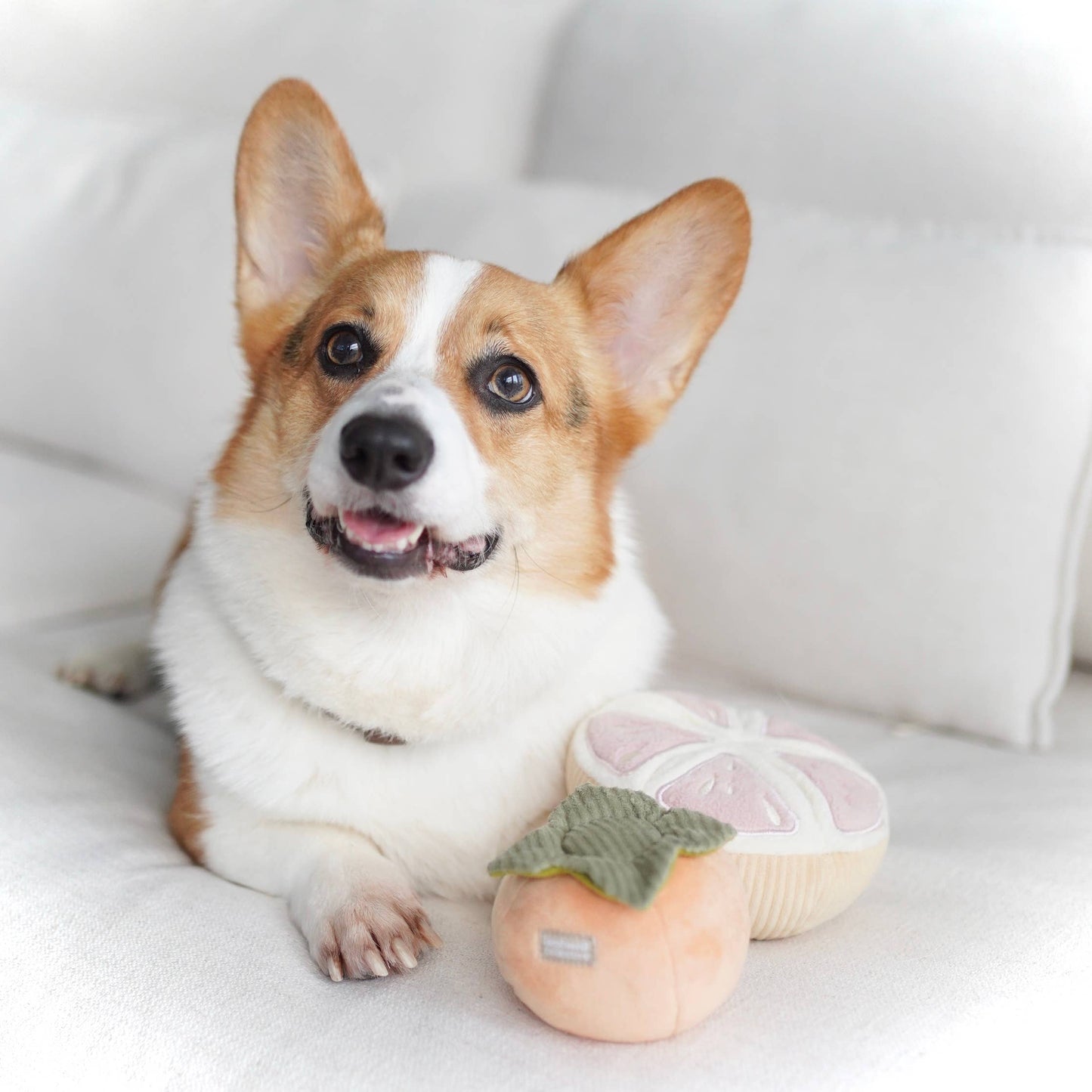 GRAPEFRUIT SNUFFLE TOY
