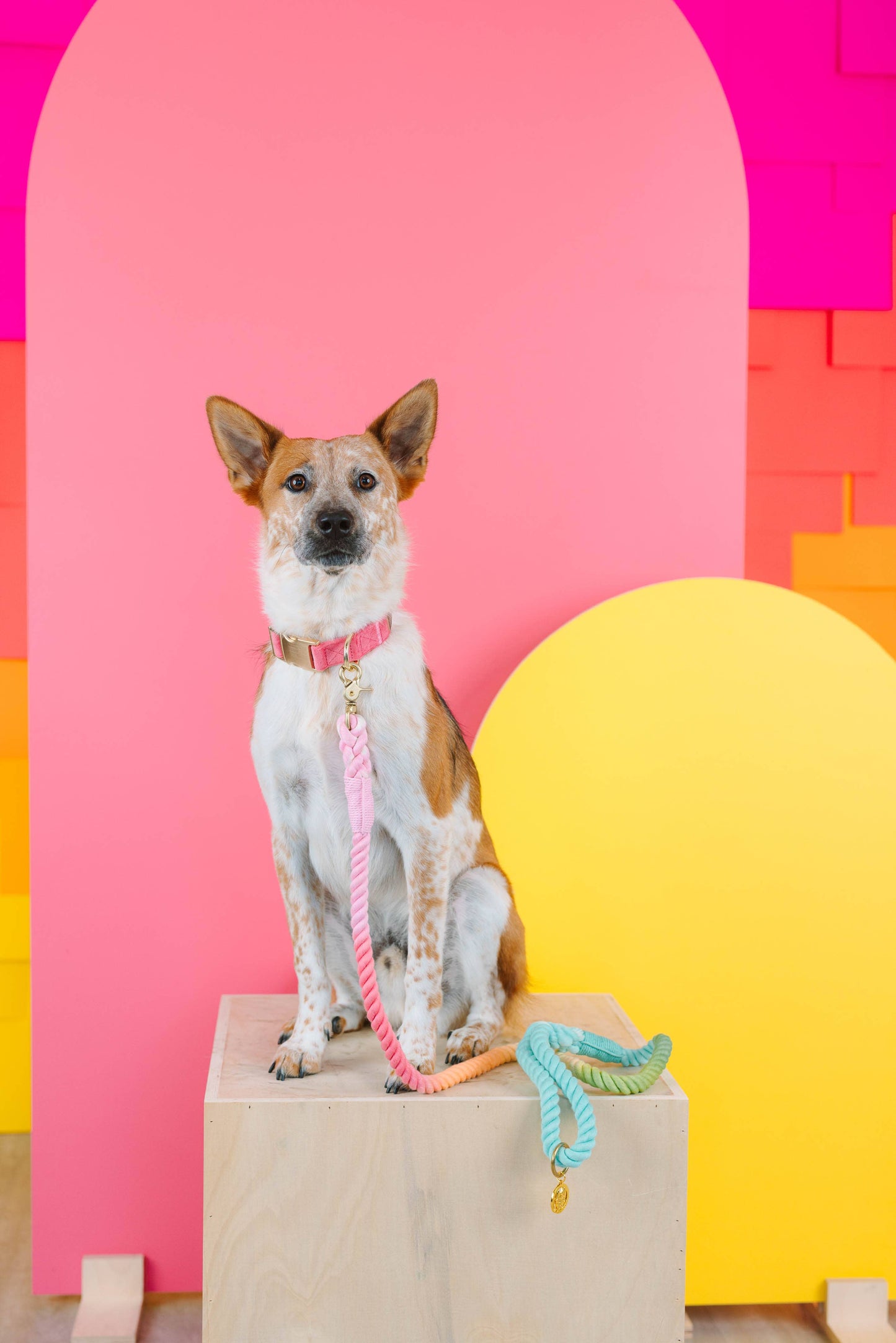 Halston Rope Dog Leash | Pastel
