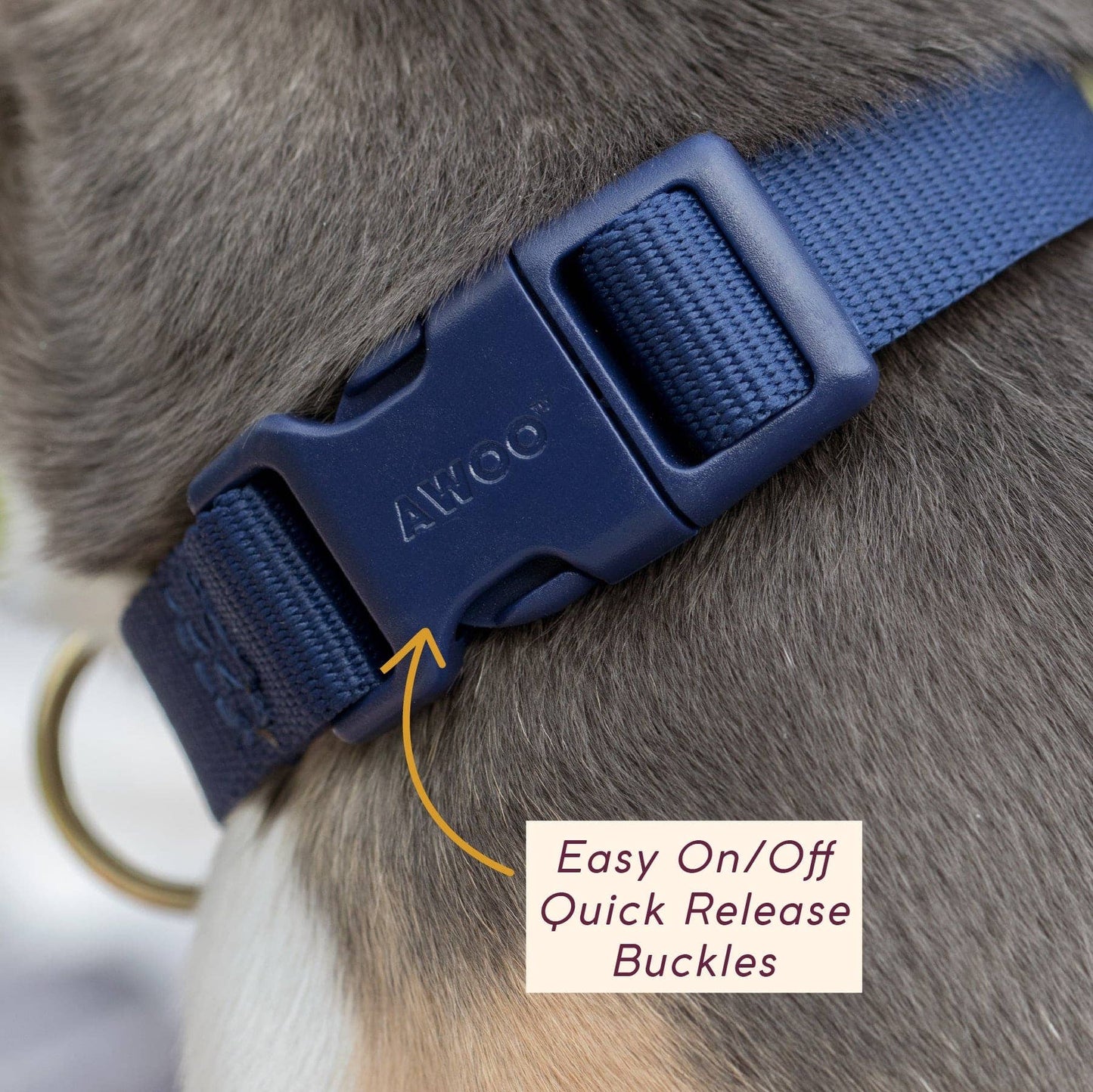 Awoo Pack Collar