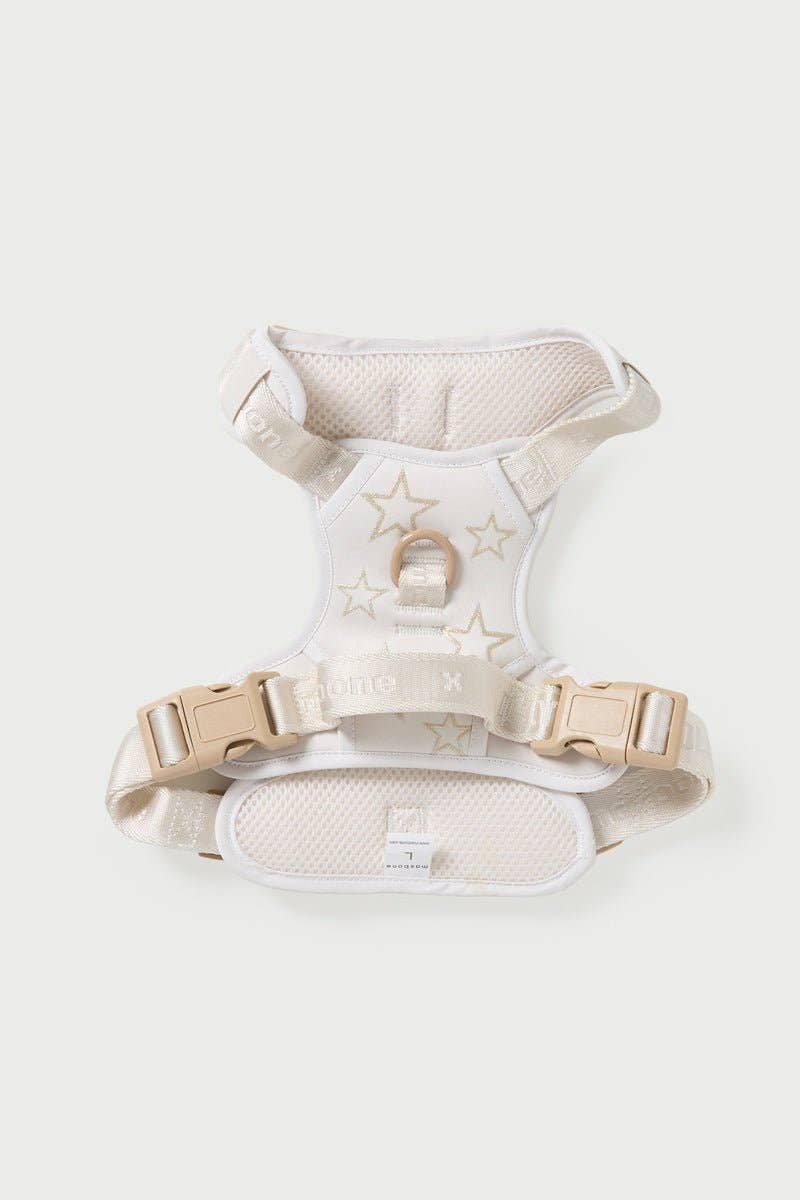 Maxbone x Hollywood Dog Walk Set