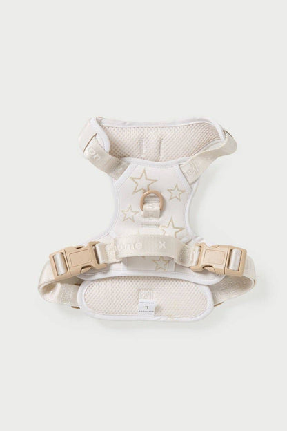 Maxbone x Hollywood Dog Walk Set