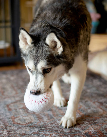 ThoozyPet Baseball Toy 4"
