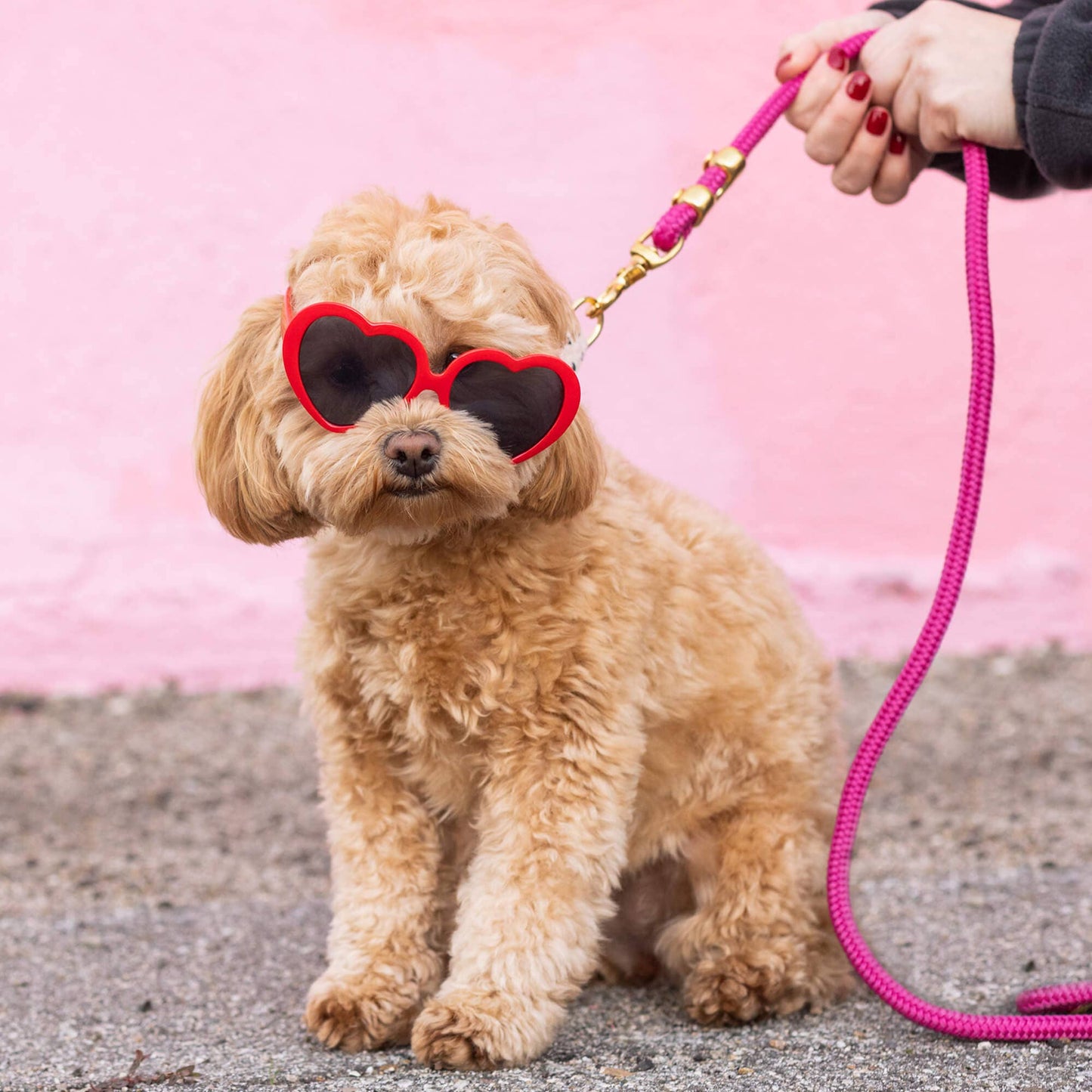 Foggy Dog Hot Pink Rope Leash