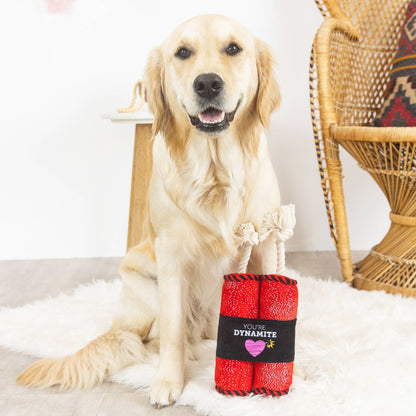 PetShop You're Dynamite Dog Toy