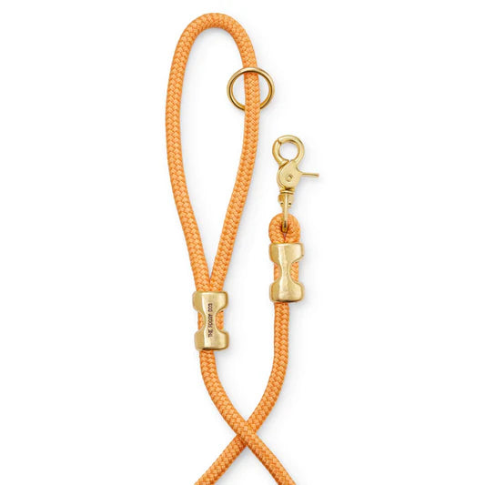 The Foggy Dog Rope Leash